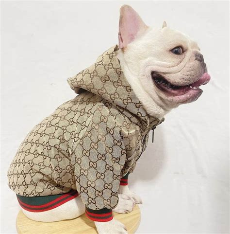 gucci dog outfit|designer dog clothes gucci.